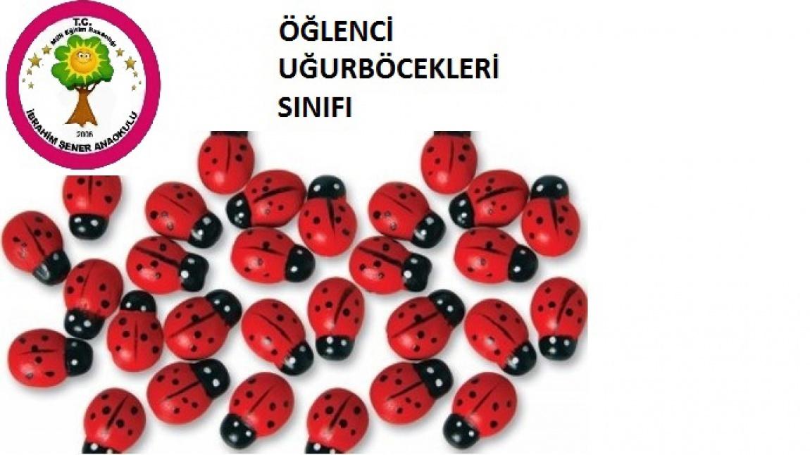 İSTİKLAL MARŞININ KABULÜNÜN 104. YIL DÖNÜMÜ...